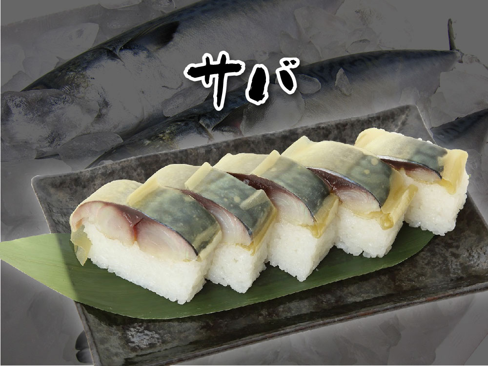 押し寿司の定番　鯖寿司　５貫